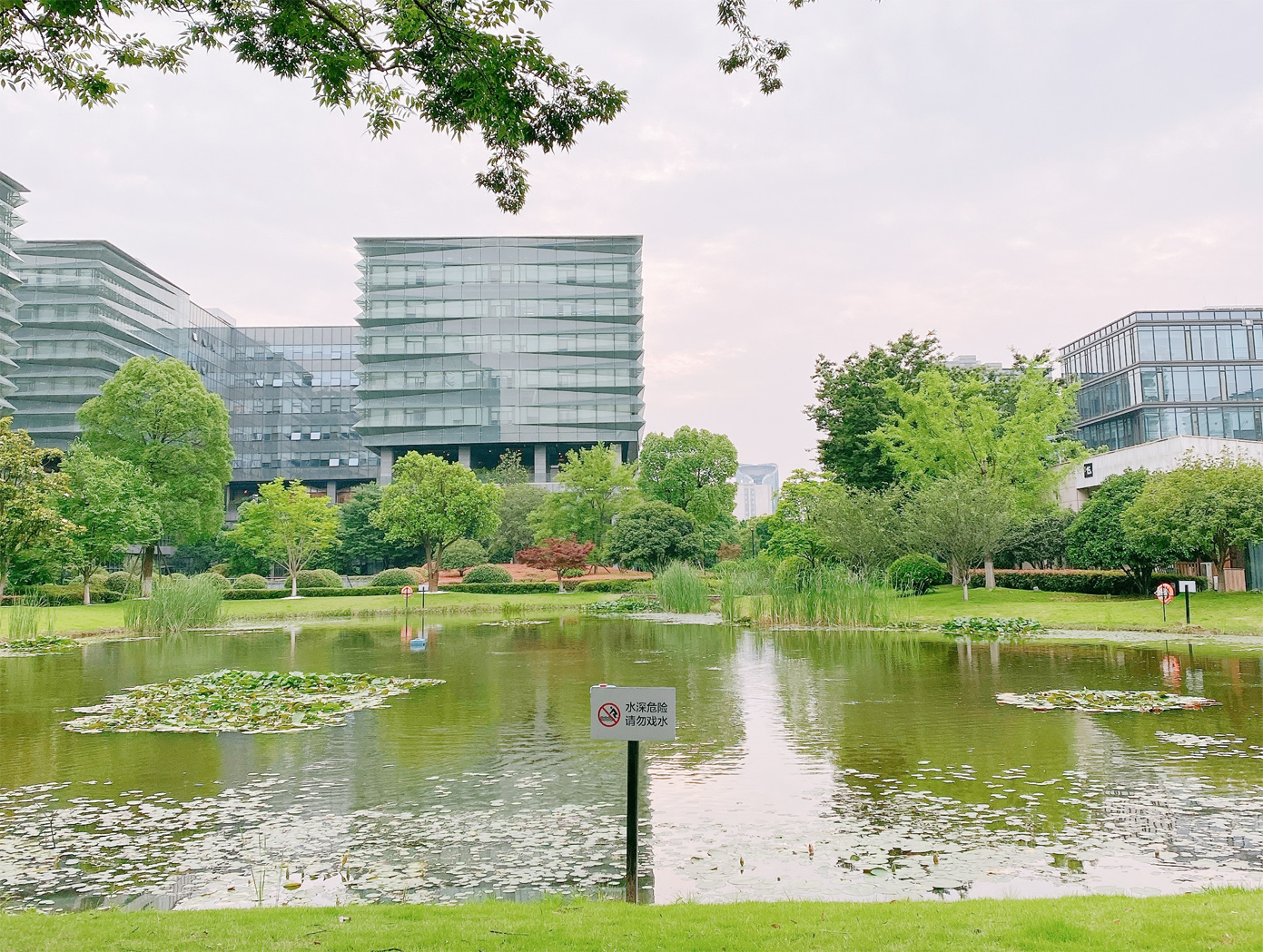 美麗的海創園