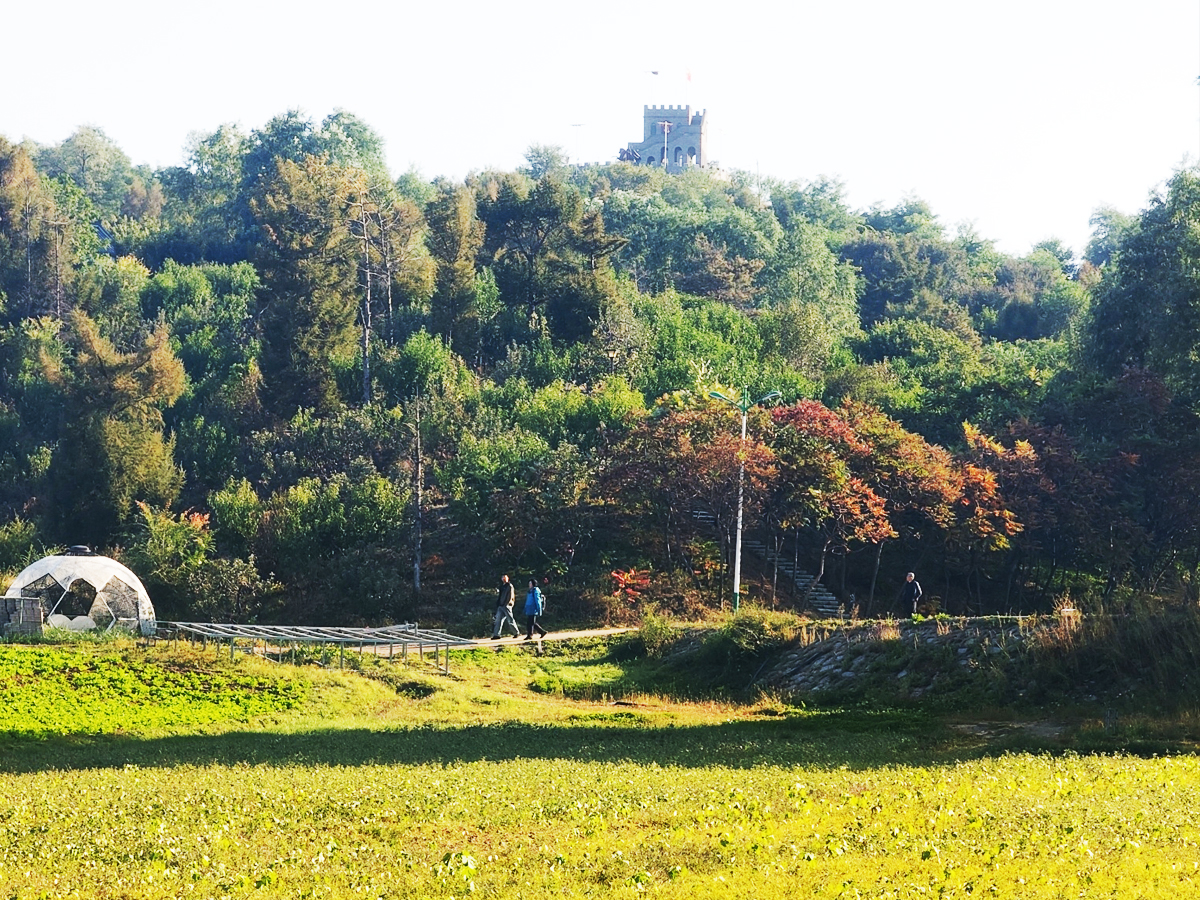 生態莊園